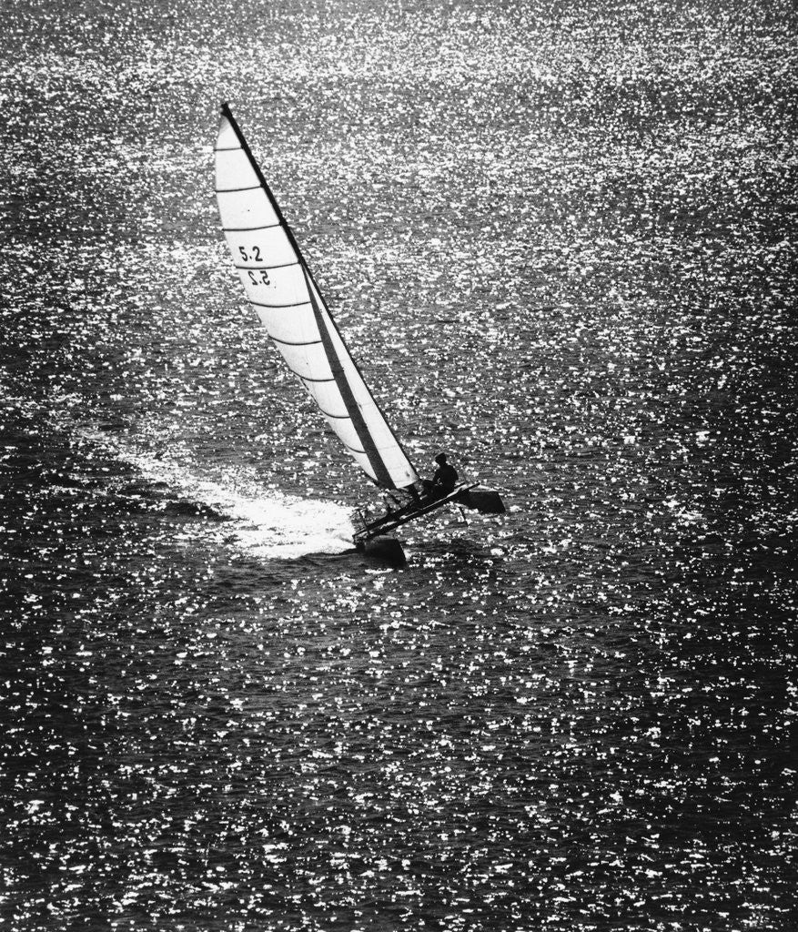 Detail of Catamaran Sailing in Mission Bay by Anonymous