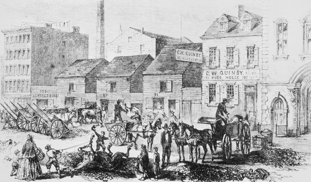 Detail of Illustration of Slaughter Houses on Elizabeth Street, Manhattan by Anonymous