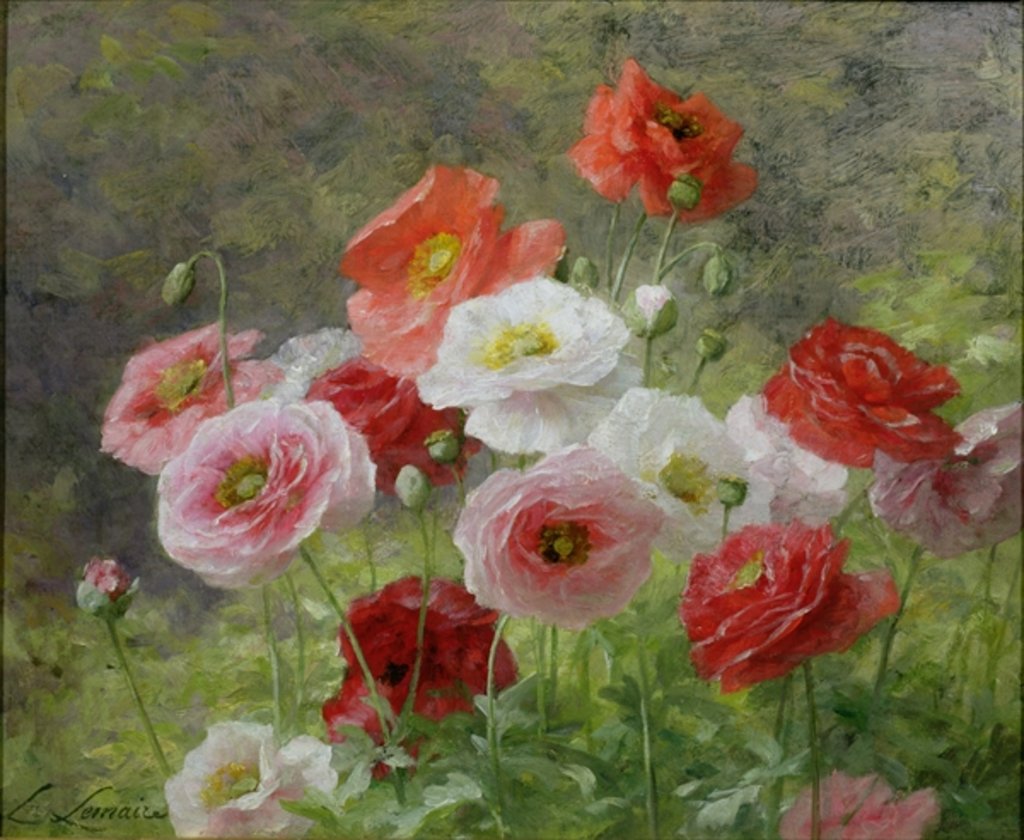 Detail of Cluster of Poppies, 1884 by Louis Marie Lemaire