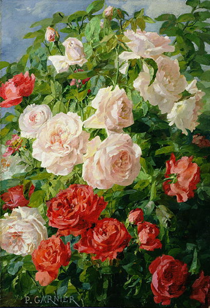 Detail of Pink Roses by Pierre Garnier