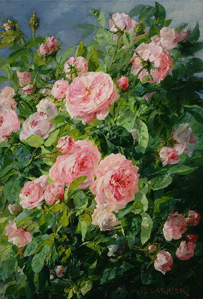 Detail of Pink Roses by Pierre Garnier