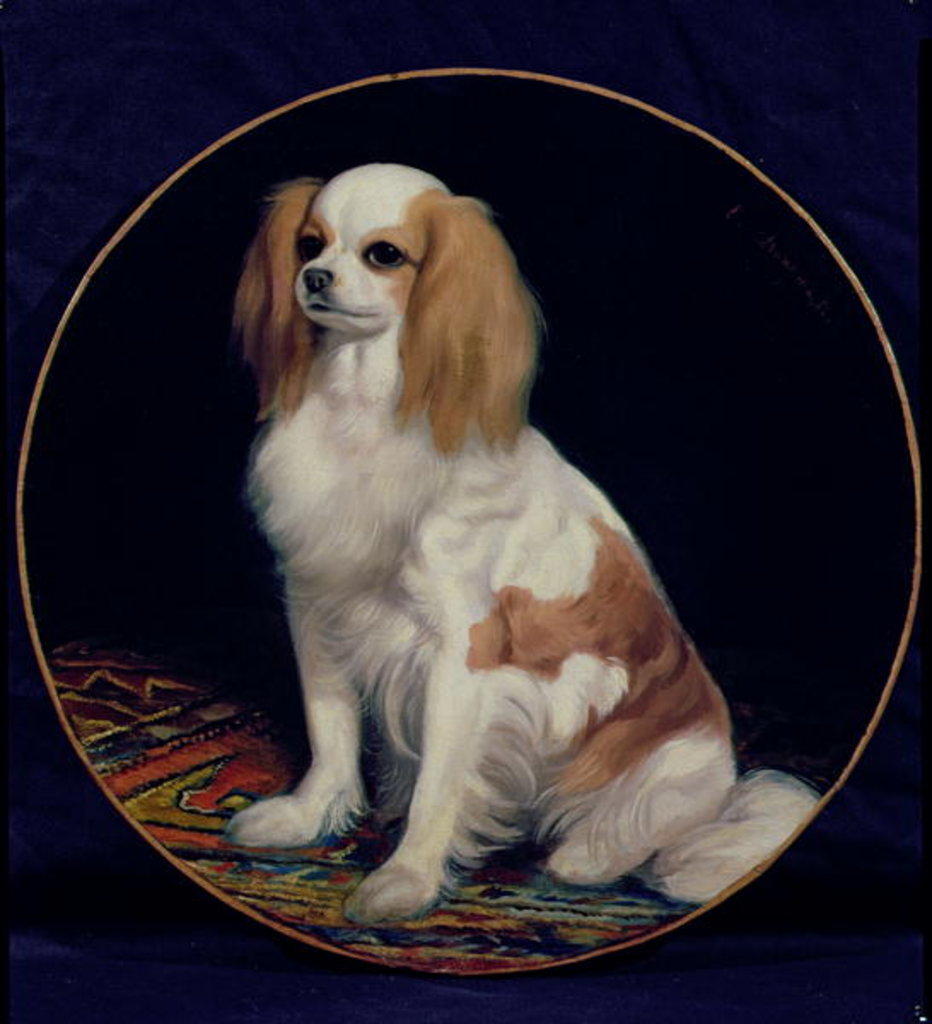 Detail of King Charles Spaniel by Charles Emile Callande de Champmartin