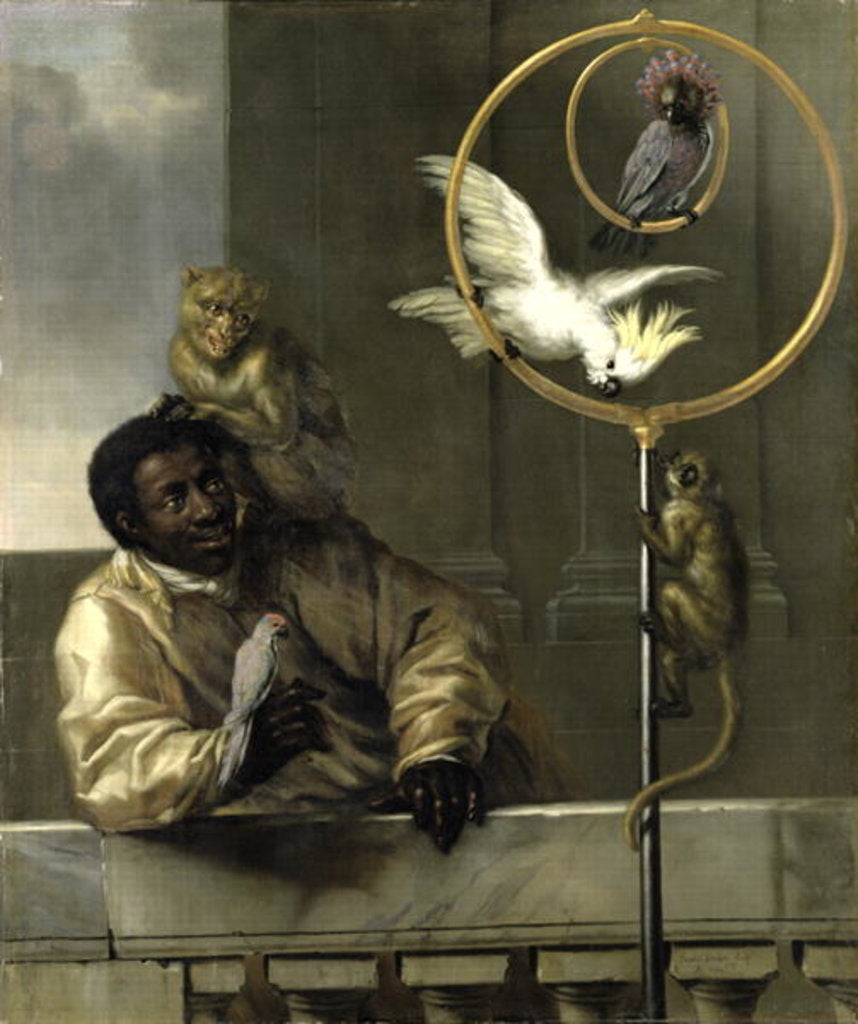 Detail of Negro with Parrots and Monkeys, 1670 by David Klocker Ehrenstrahl