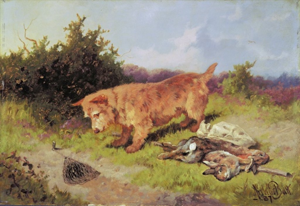Detail of Terrier Watching a Rabbit Trap, 1887 by Arthur Batt