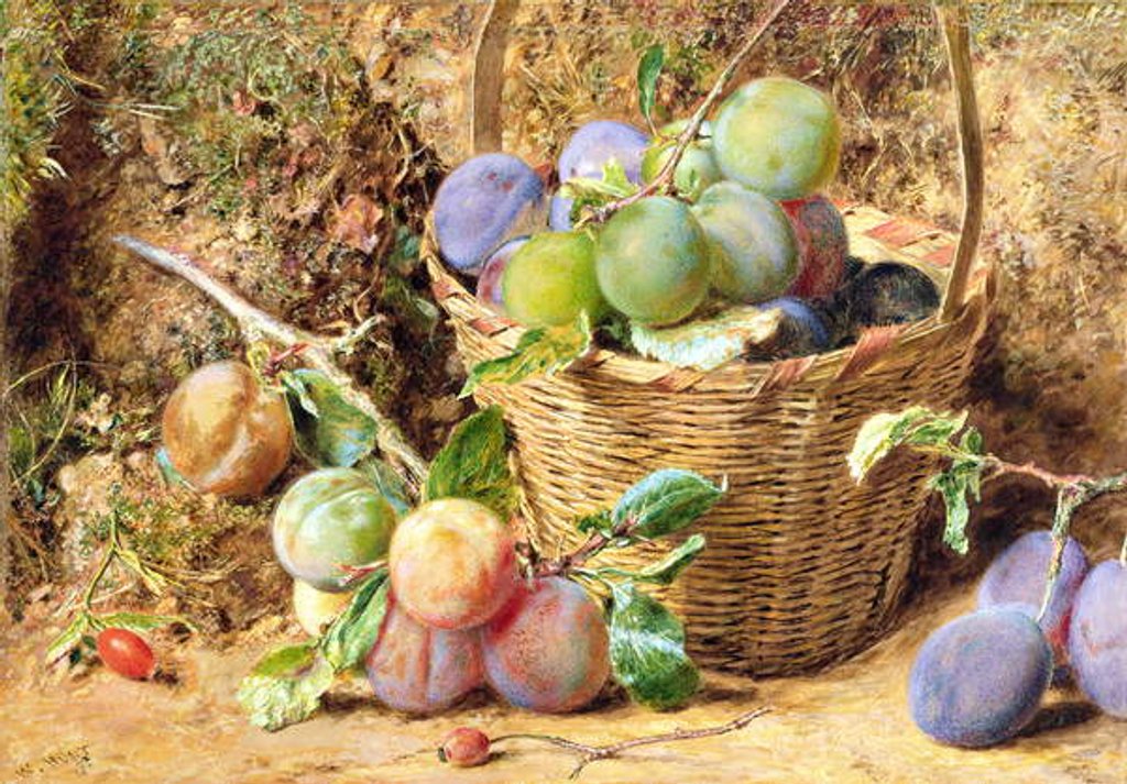 Detail of Plums by William Henry Hunt