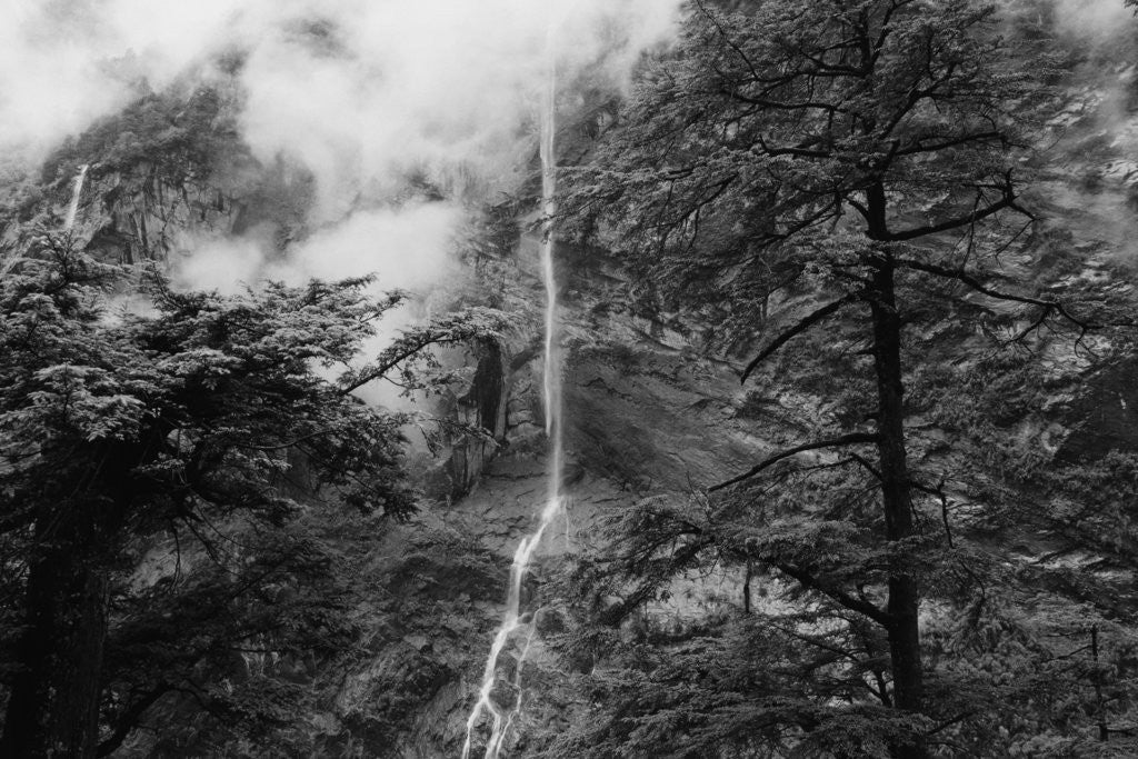 Detail of Waterfall by Anonymous