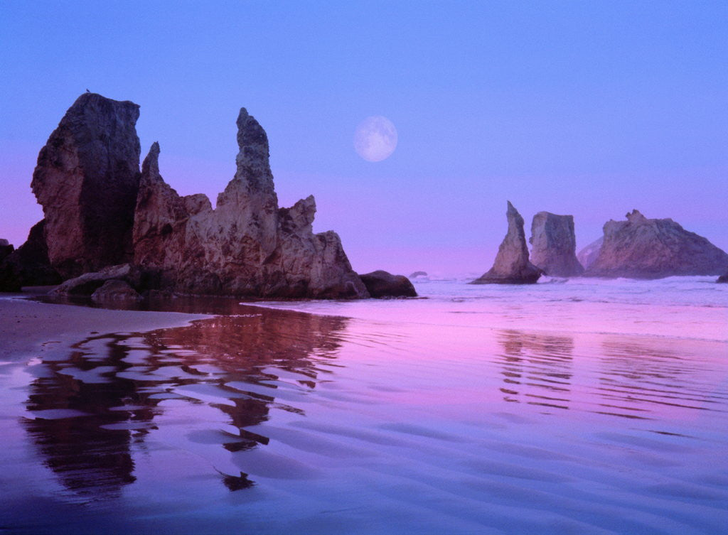 Detail of Sea Stacks and Beach by Anonymous