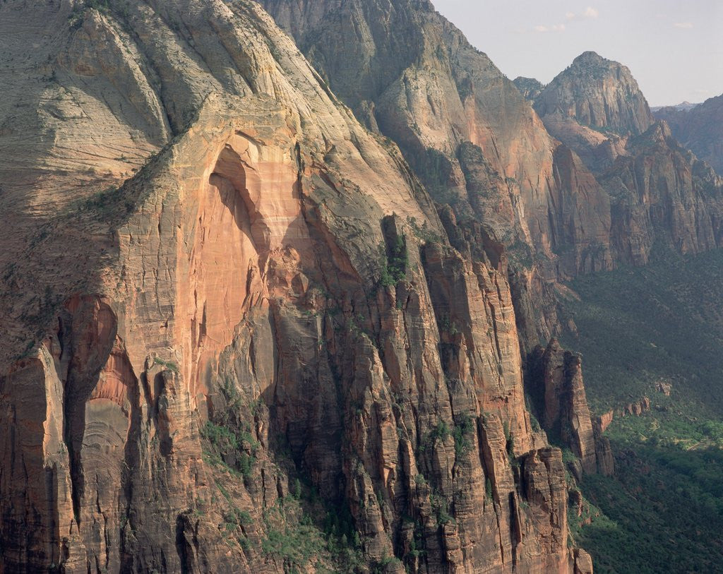 Detail of Sandstone Cliffs in Zion Canyon by Anonymous