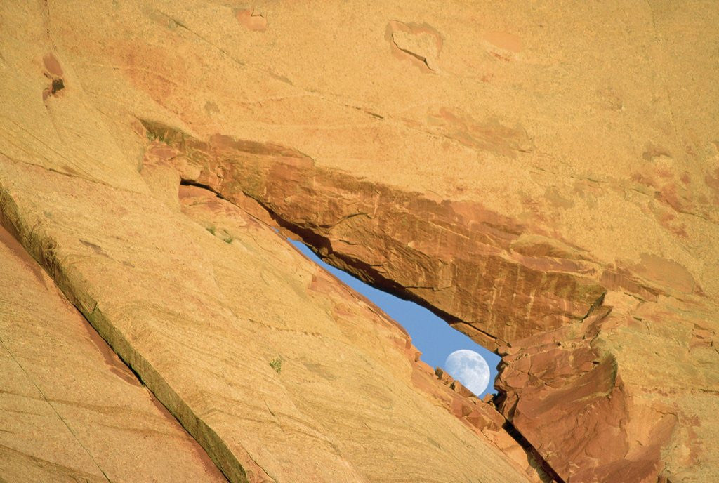Detail of Moon and Peek-a-Boo Arch by Anonymous