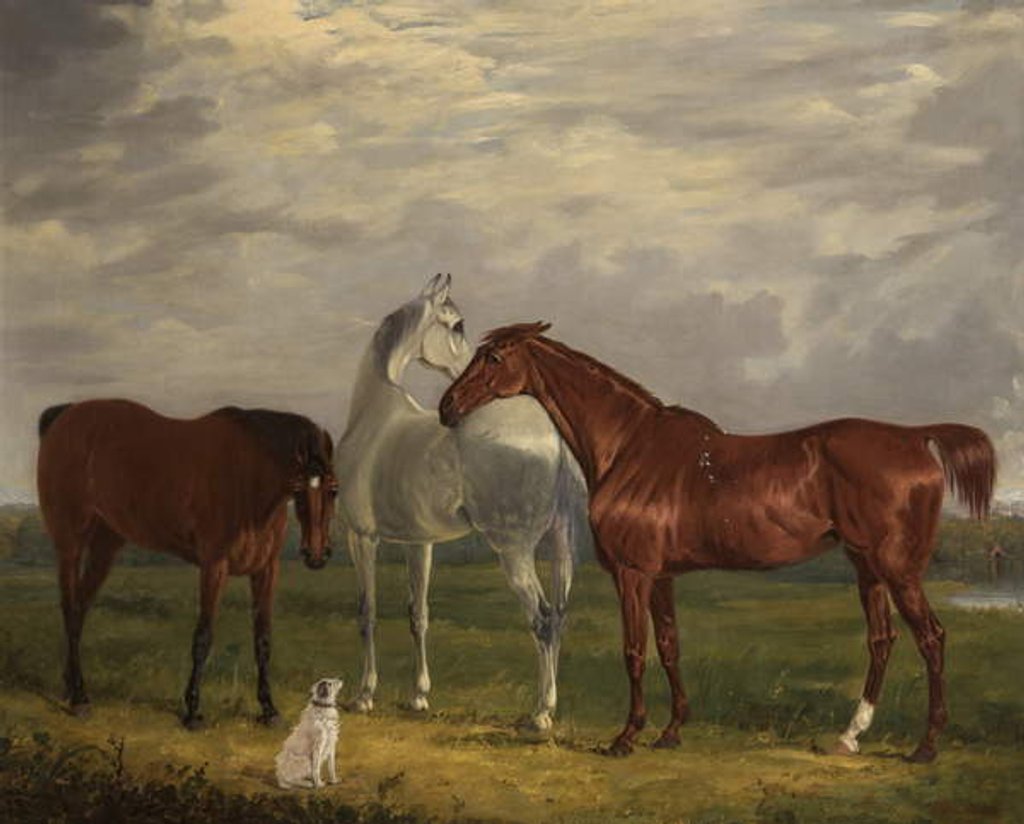 Detail of Three Horses of the 2nd Lord de Tabley and His Dog, 'Vic', 1838 by Henry Calvert