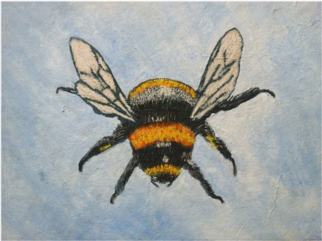 Detail of Bumble bee, 2015 by Sarah Thompson-Engels