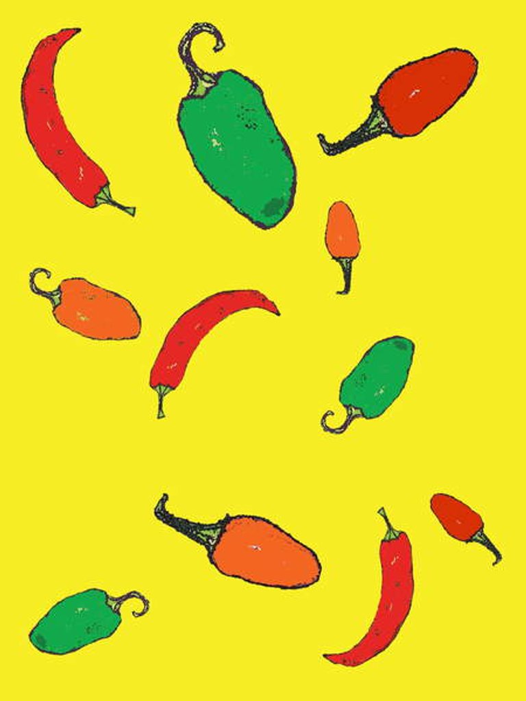 Detail of Chillies 2012 by Sarah Thompson-Engels