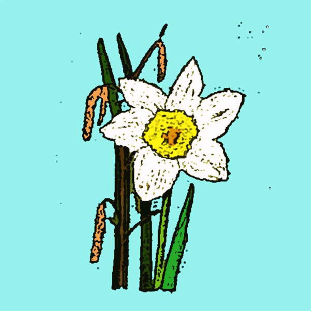 Detail of Daffodils, 2015 by Sarah Thompson-Engels