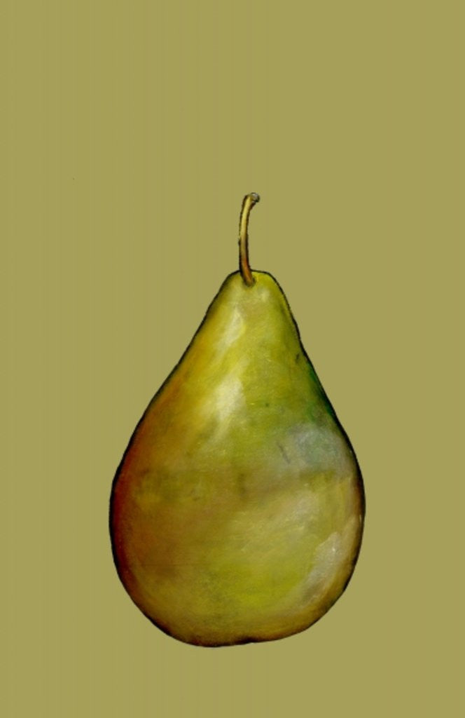 Detail of Pear, 2007 by Sarah Thompson-Engels
