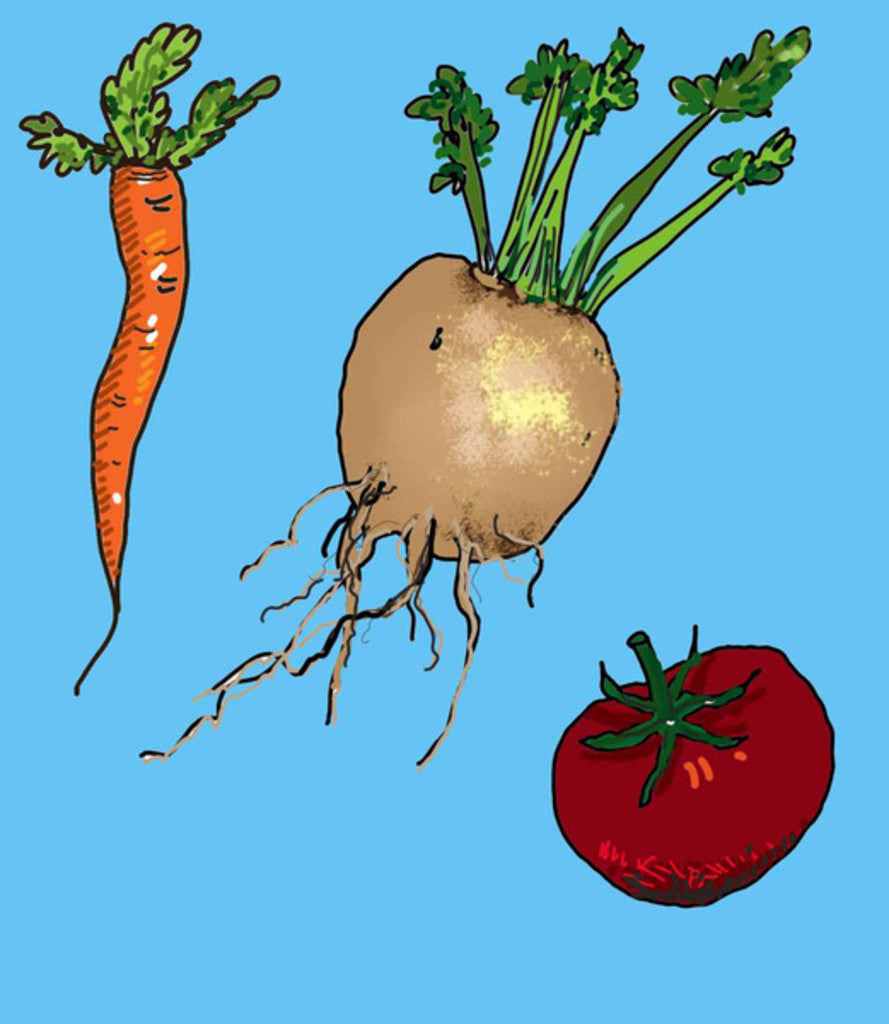 Detail of Untitled by Sarah Thompson-Engels