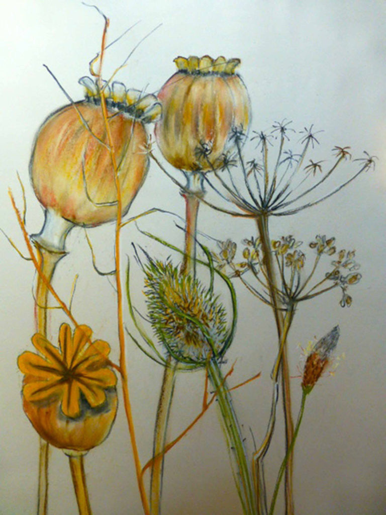 Detail of Untitled by Sarah Thompson-Engels