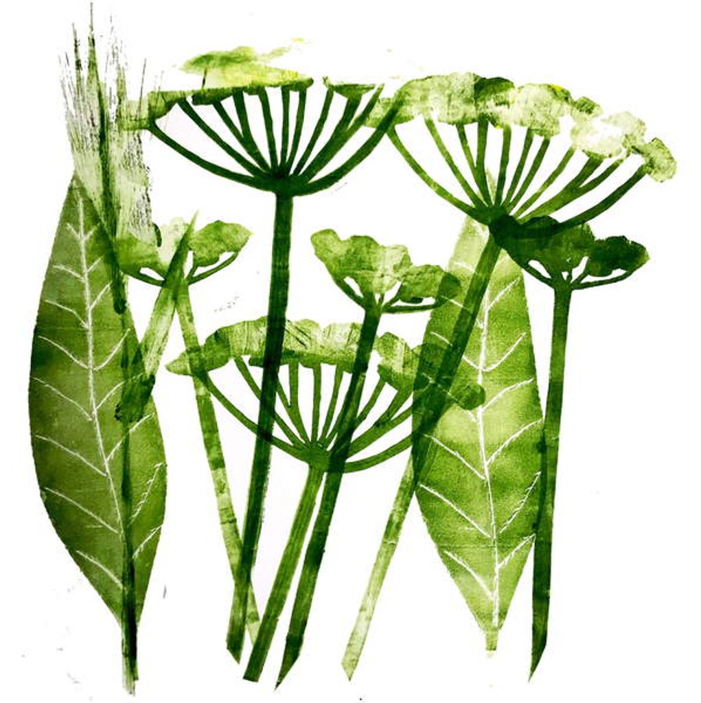 Detail of Cow Parsley in green, 2019 by Sarah Thompson-Engels