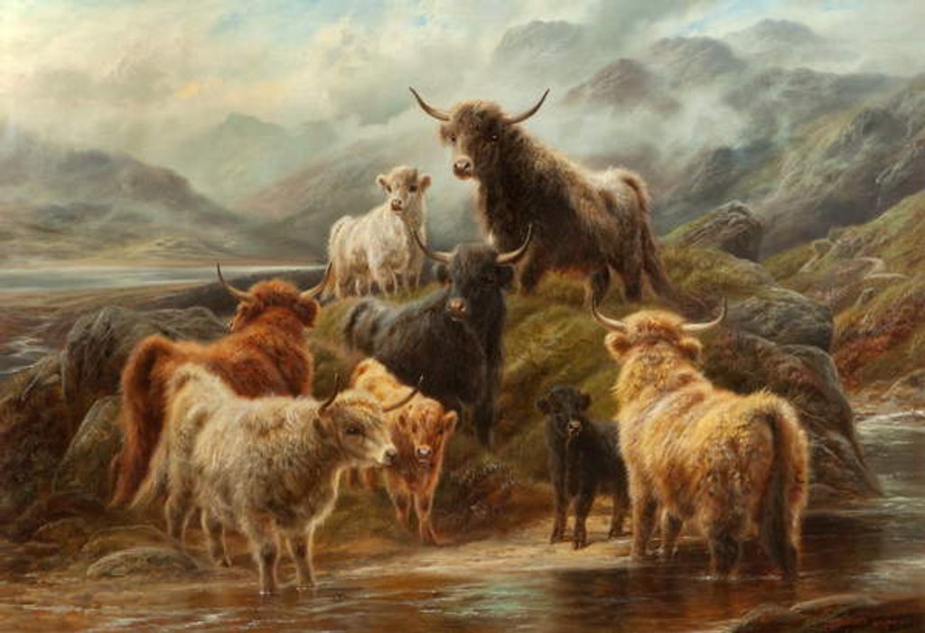 Detail of Highland Cattle, 1894 by Robert Watson