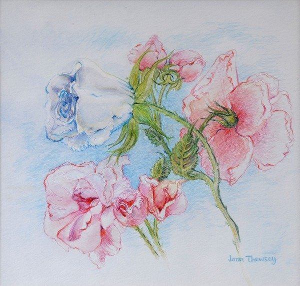 Morning Roses by Joan Thewsey