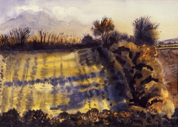 Detail of Field with Long Shadows by Joan Thewsey
