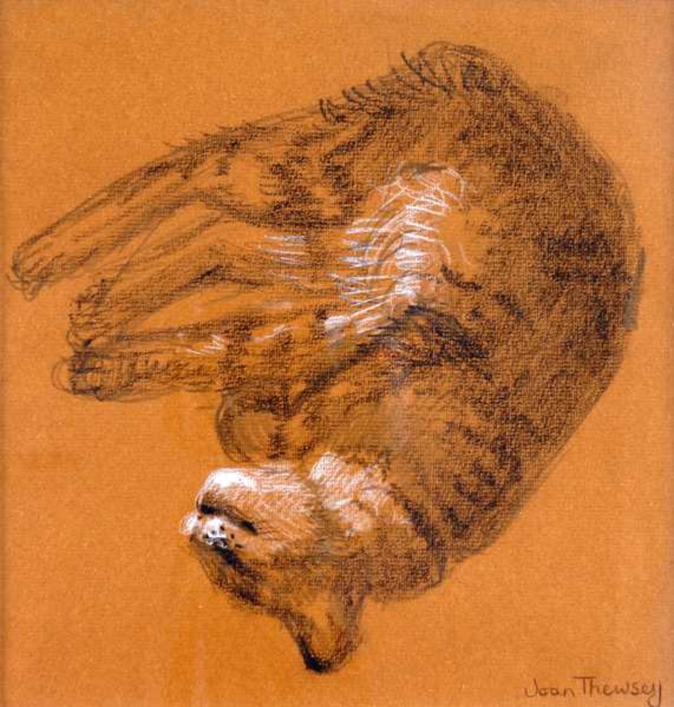 Detail of Sleeping Tabby Cat, 2005 by Joan Thewsey