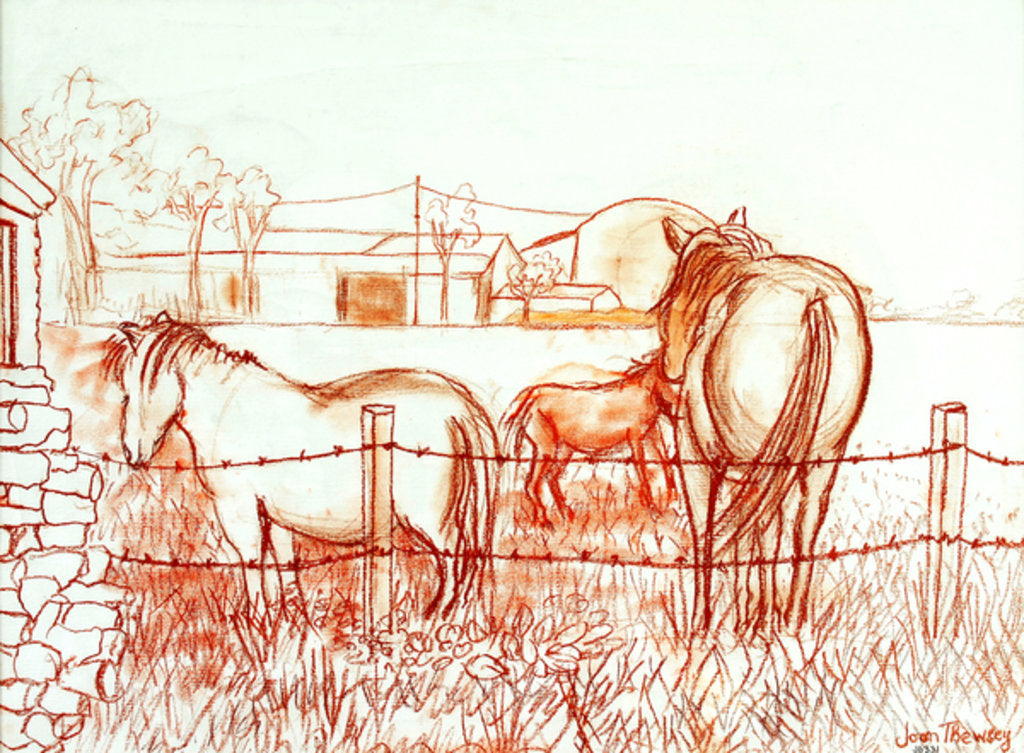 Detail of Serenade, Janie and a Donkey in the Meadow, 2000 by Joan Thewsey