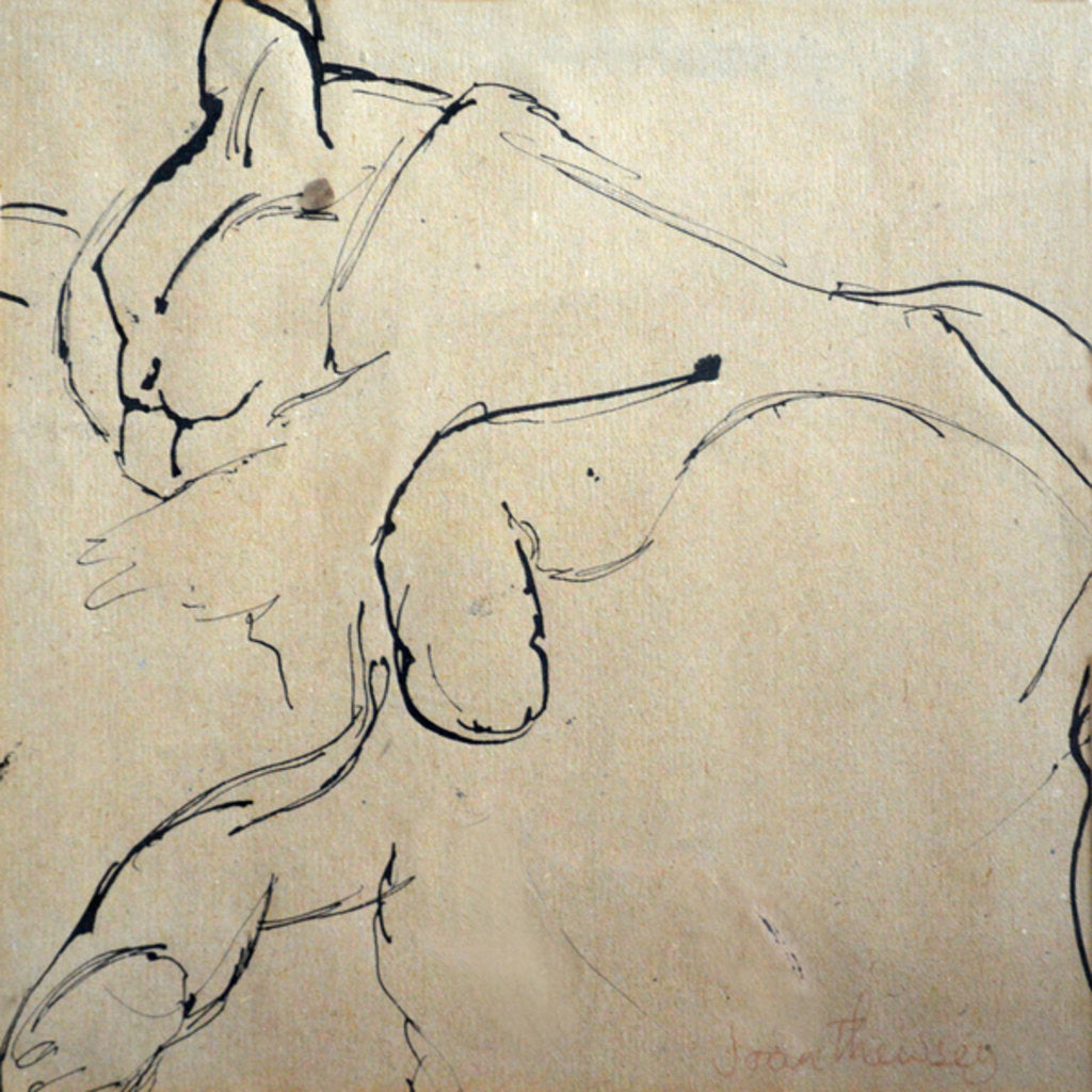 Detail of Cat, 'Mouser', 1980 by Joan Thewsey