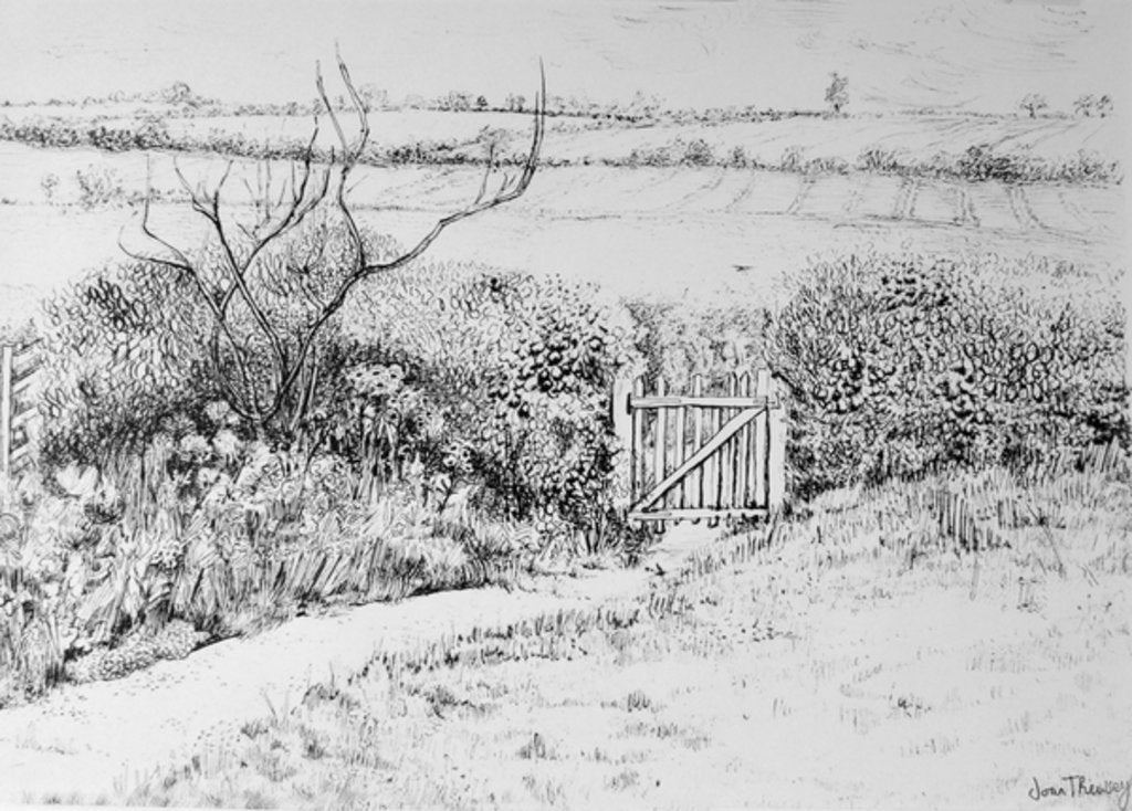 Detail of Cottage Gate and View Beyond, 2015 by Joan Thewsey