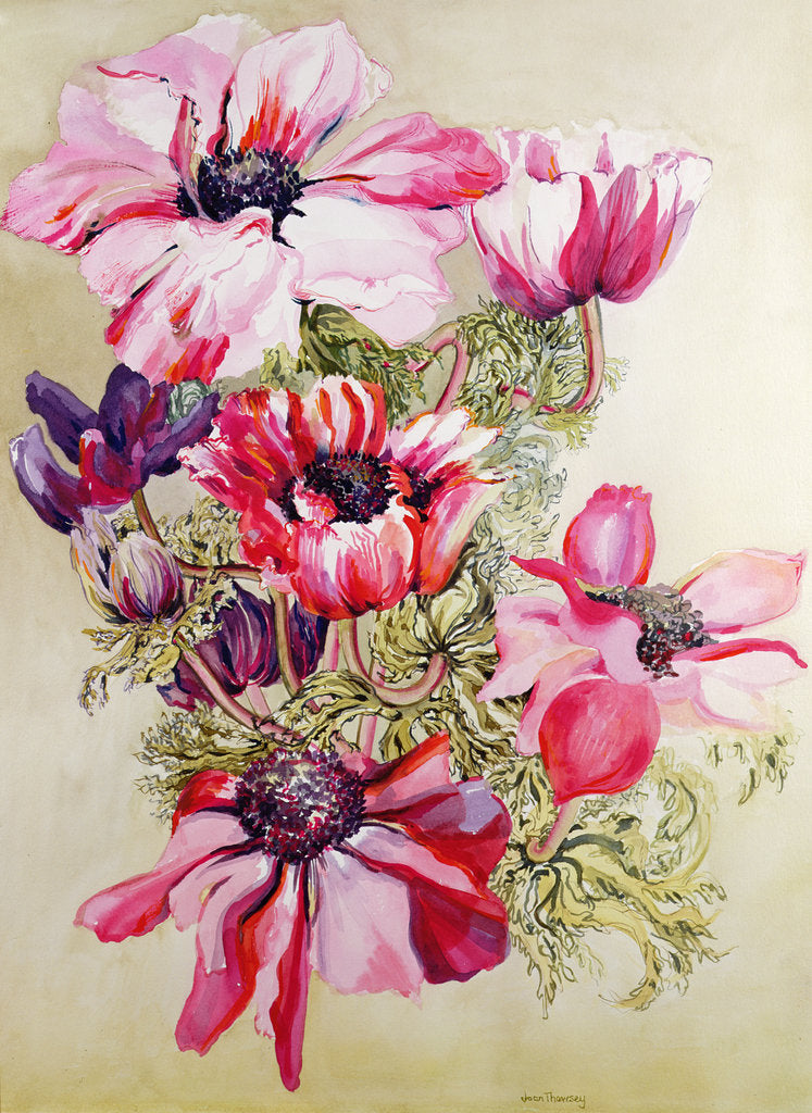 Detail of Anemones by Joan Thewsey