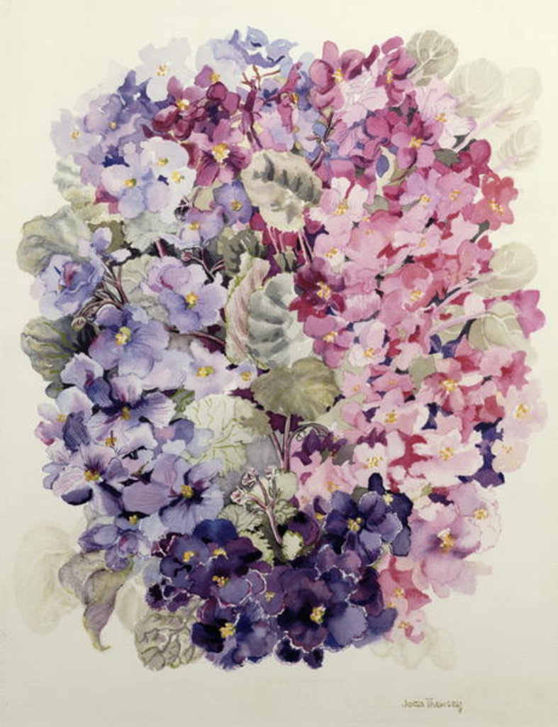 Detail of African Violets by Joan Thewsey