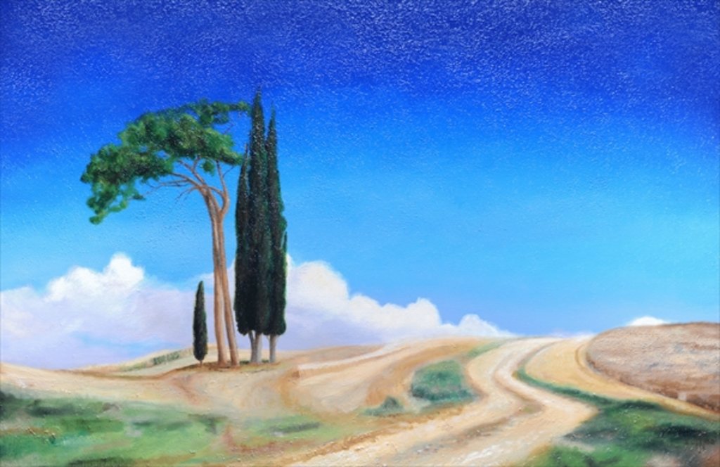 Detail of 4 Trees, Picenza, Tuscany, 2002 by Trevor Neal