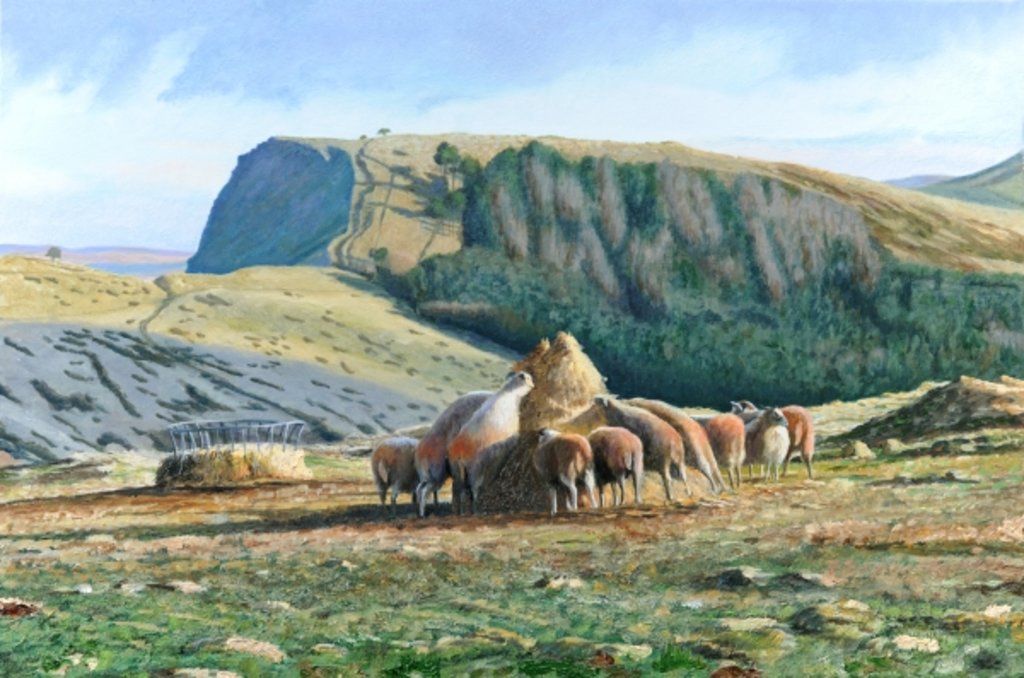 Detail of Sheep Feeding, 2004 by Trevor Neal