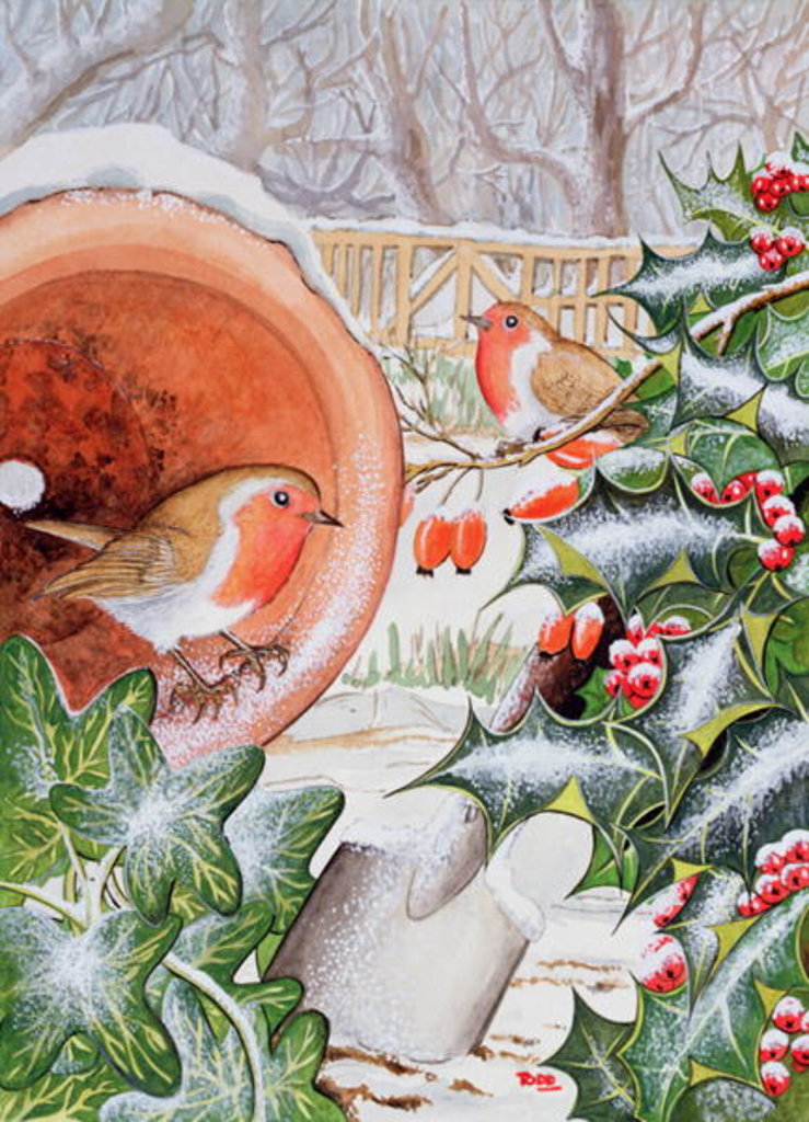 Detail of Christmas Robins by Tony Todd