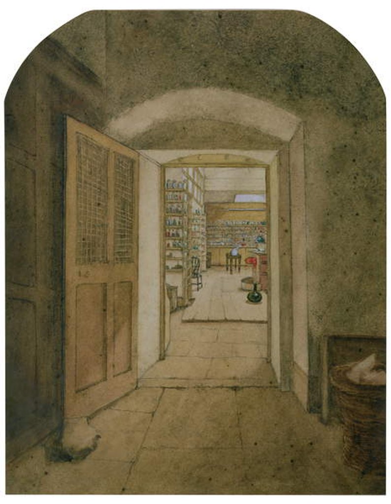 Detail of The Big Laboratory viewed from the Dark Room, 1860 by Harriet Jane Moore