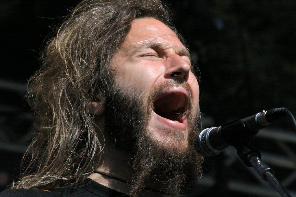 Detail of Mastodon - Troy Sanders by L. Paul Mann