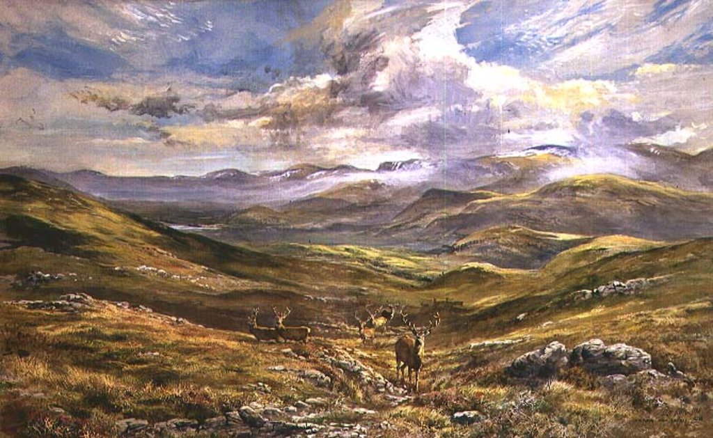 Detail of Cairngorms from Kinrara, 1988 by Tim Scott Bolton