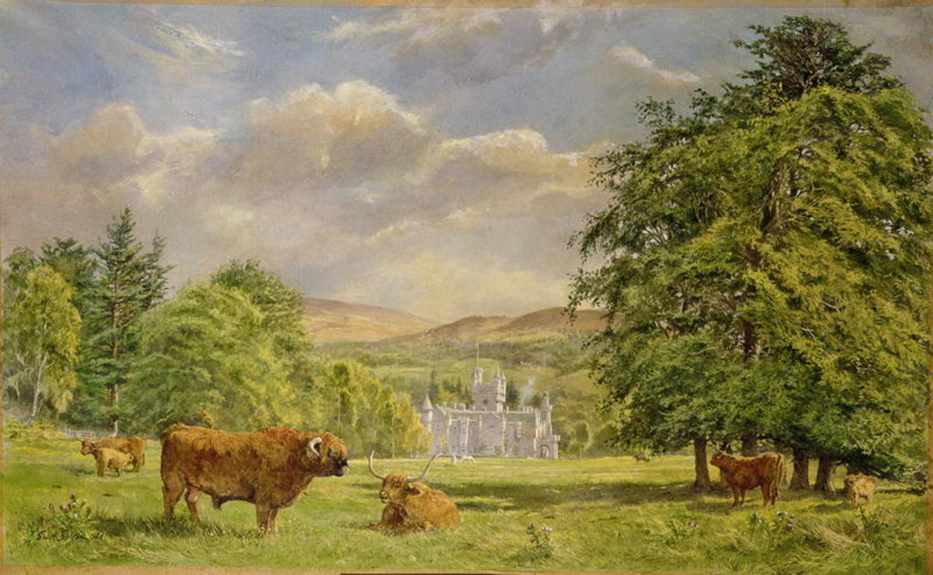 Detail of Bulls at Balmoral, 1988 by Tim Scott Bolton