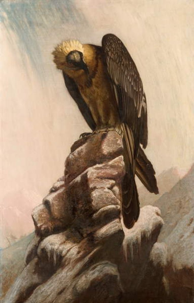 Detail of Eagle on Cliff by School English