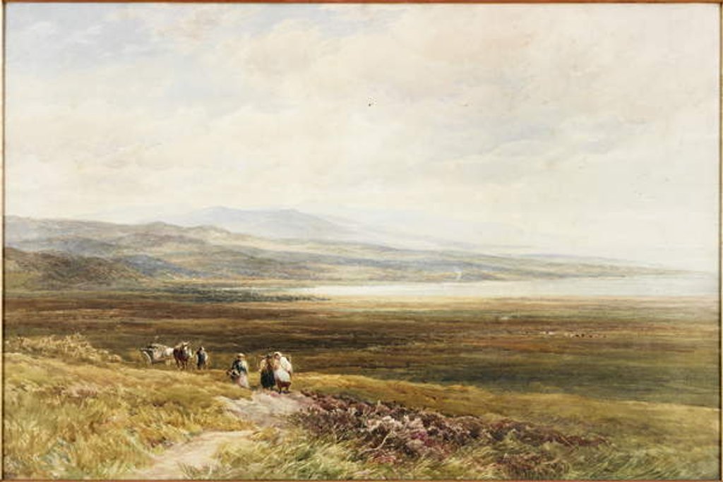 Detail of A Scotch Moor by Edmund Morison Wimperis