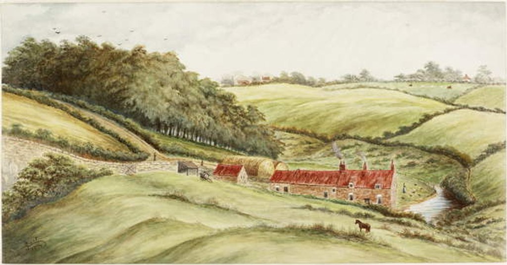 Detail of Hedworth Farm by James Henry Cleet