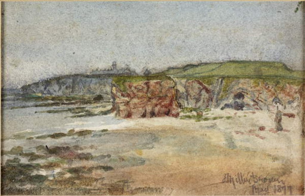 Detail of Marsden Bay 1877 by James Miller Brown