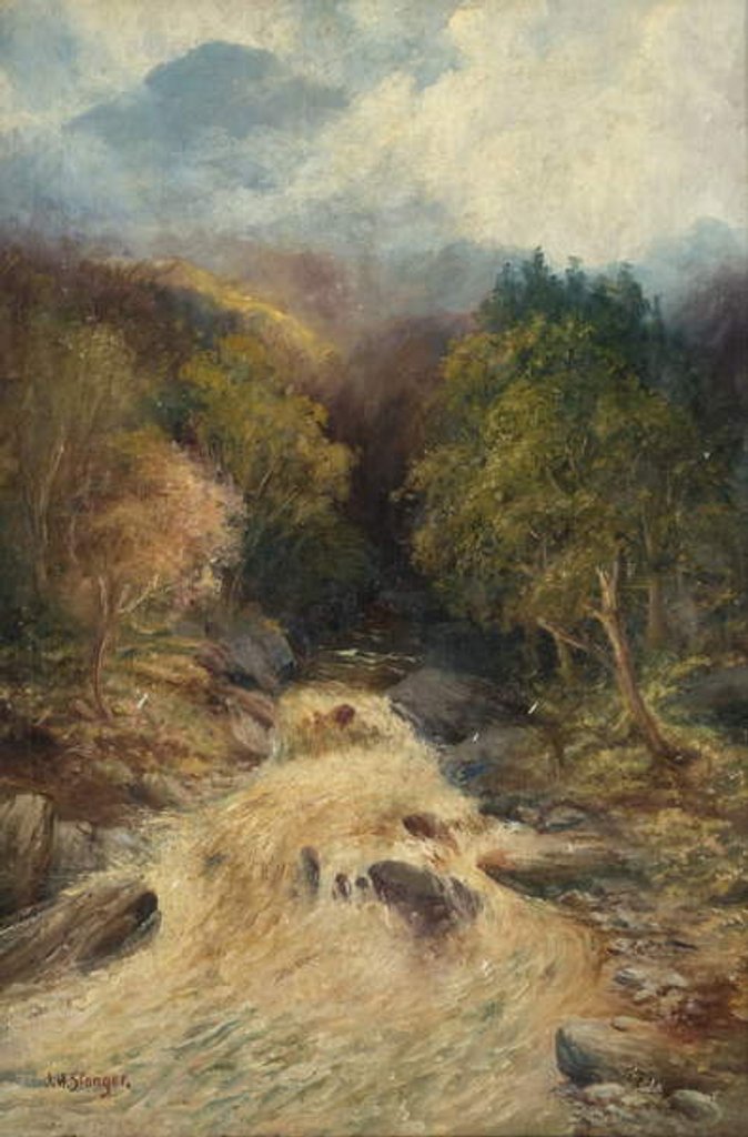 Detail of A Mountain Forest by J.H. Stanger