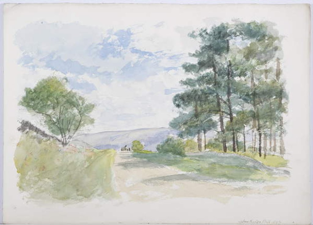 Detail of Above Bardon Mill, 1893 by Daniel Oliver