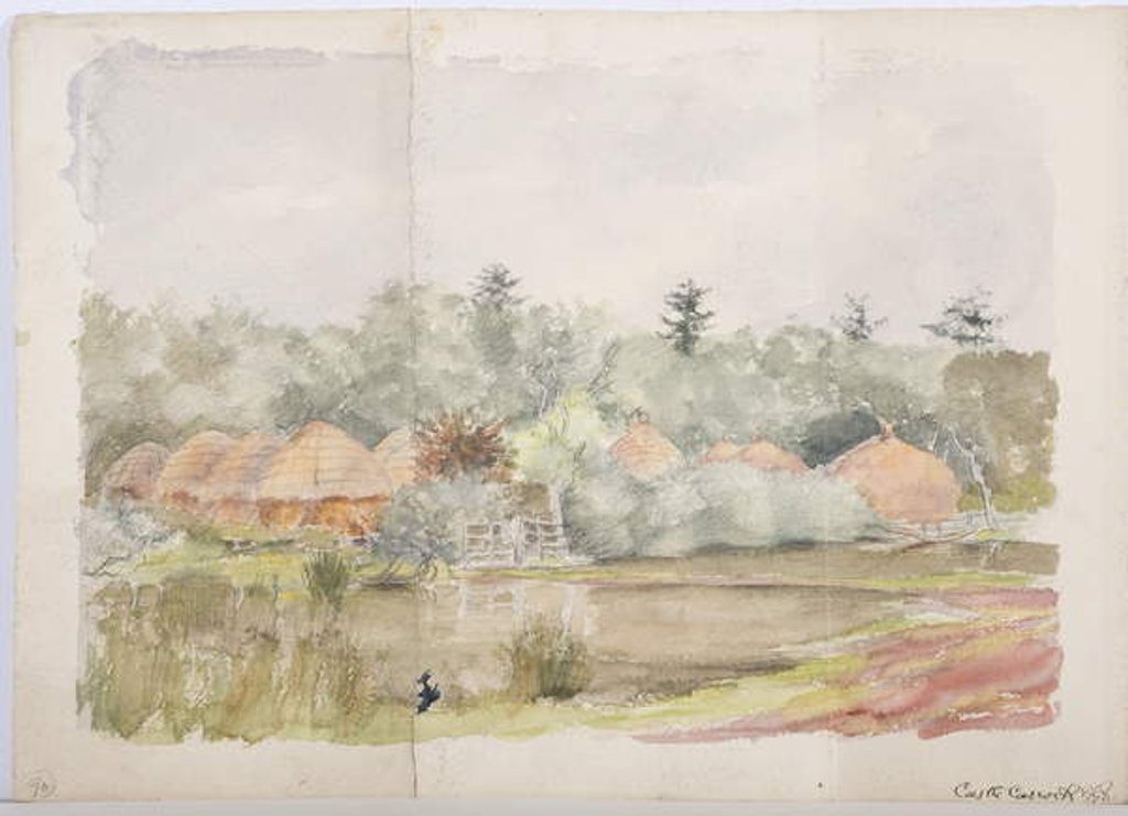 Detail of Castle Carrock, 1898 by Daniel Oliver