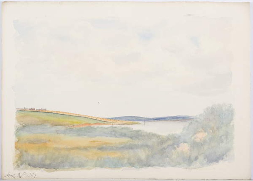 Detail of Holy Island, 1897 by Daniel Oliver