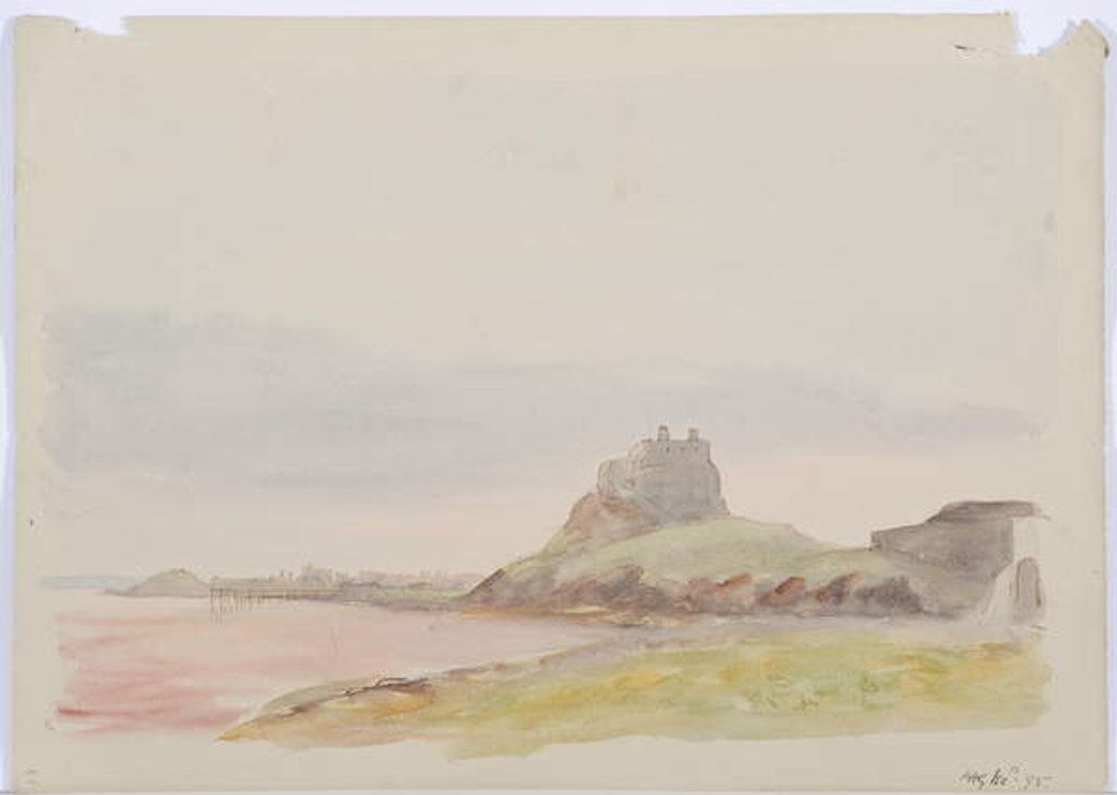 Detail of Holy Island, 1895 by Daniel Oliver