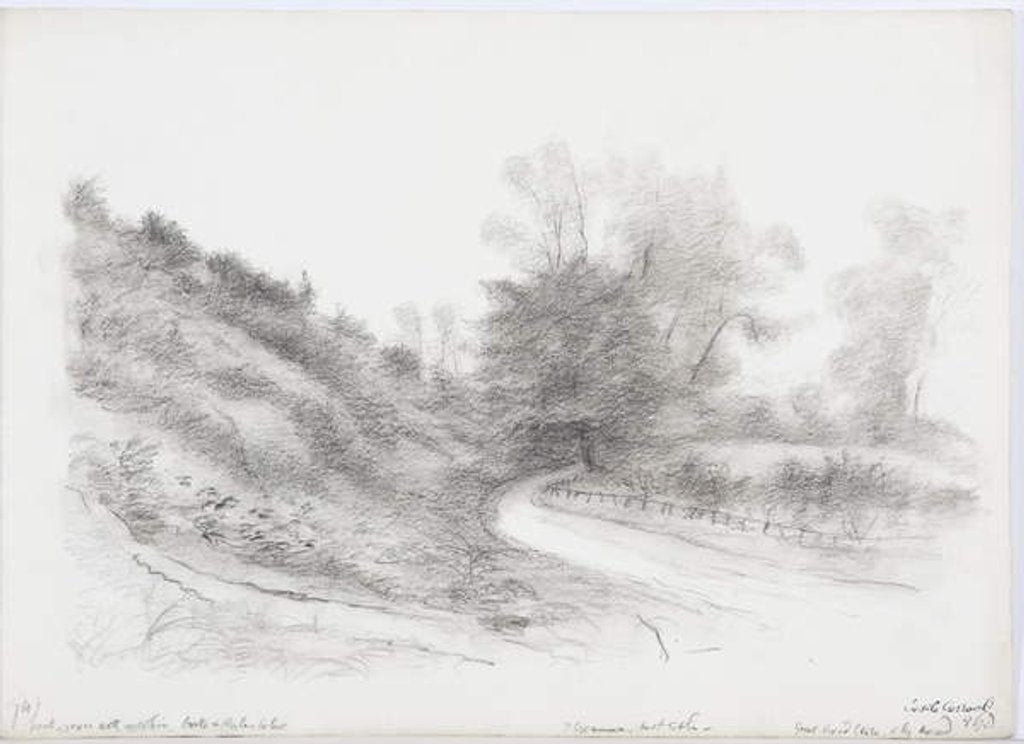 Detail of c.1916 by Daniel Oliver