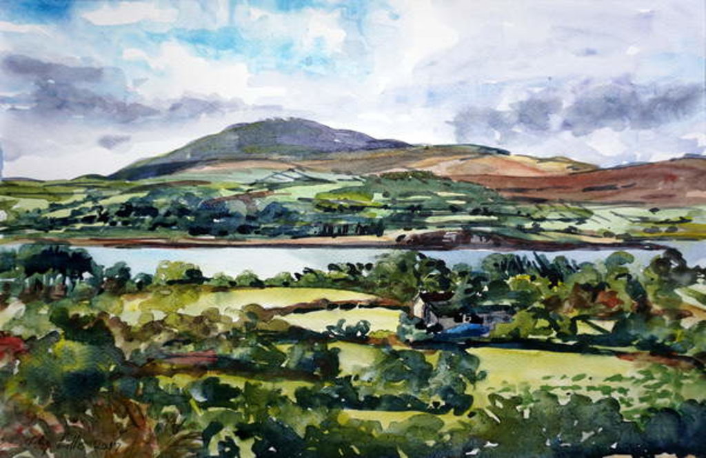 Detail of Mizen View County Cork by Tilly Willis