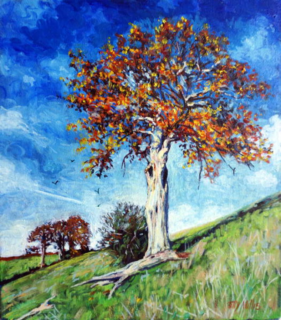 Detail of Old Survivor by Tilly Willis