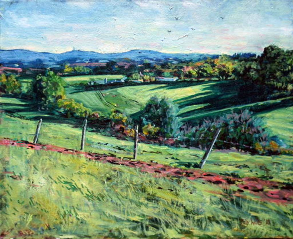 Detail of Blackdown View by Tilly Willis